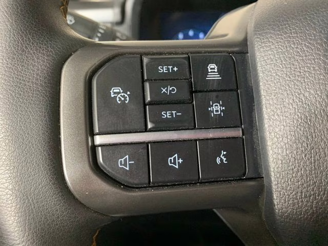 2025 Carbonized Gray Metallic Ford F-150 Tremor 4X4 Truck