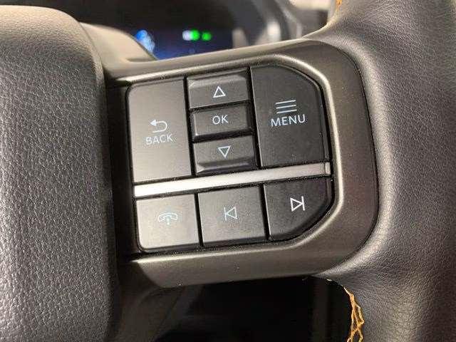 2025 Carbonized Gray Metallic Ford F-150 Tremor 4X4 Truck