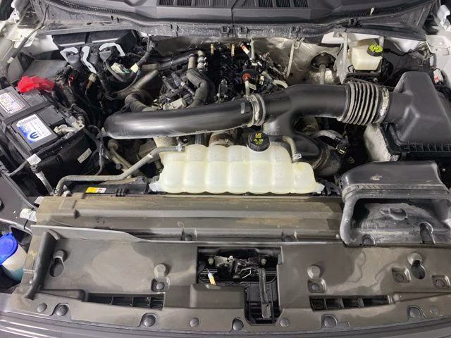 2024 Oxford White Ford F-150 XLT 4X4 Truck