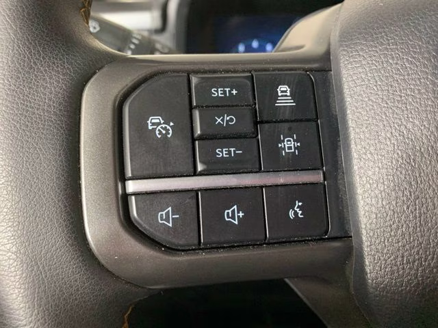 2025 Carbonized Gray Metallic Ford F-150 Tremor 4X4 Truck