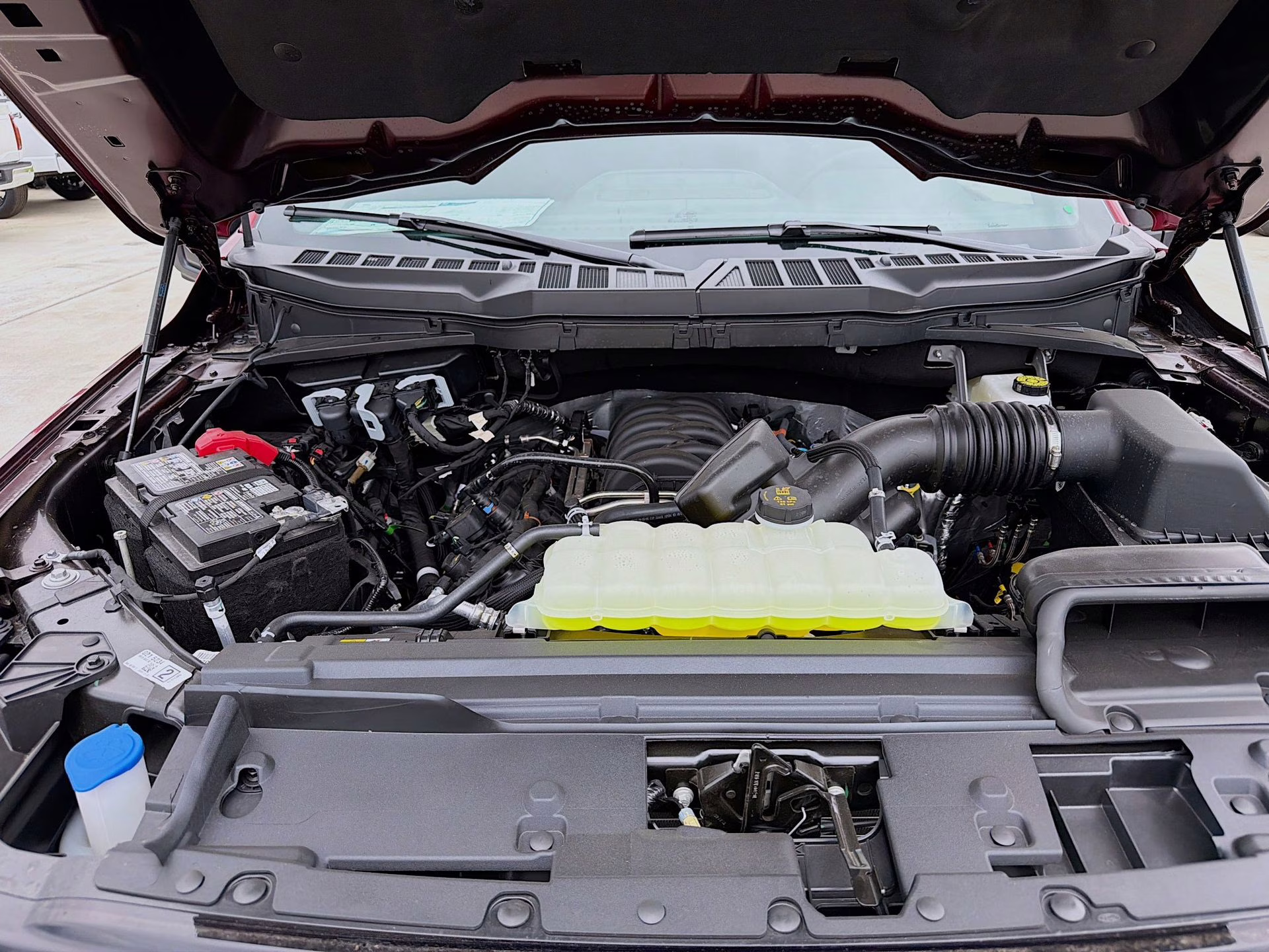 2026 Ruby Red Metallic Tinted Clearcoat Ford F-150 XLT 4X4 Truck