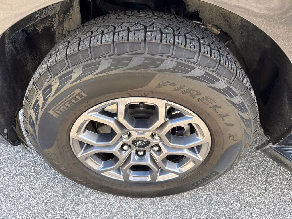 2025 Agate Black Metallic Ford Expedition Active RWD SUV
