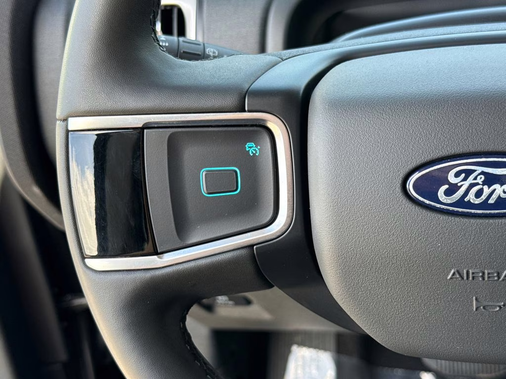 2025 Agate Black Metallic Ford Expedition Active RWD SUV