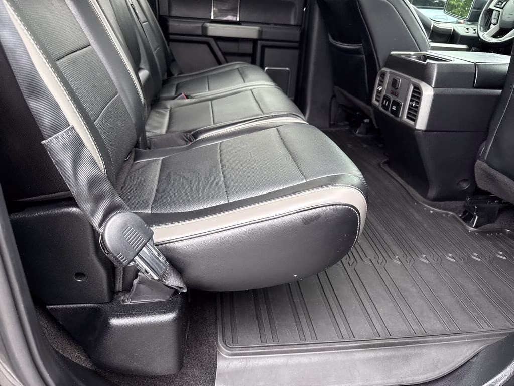 2018 Magnetic Metallic Ford F-150 Raptor 4X4 Truck