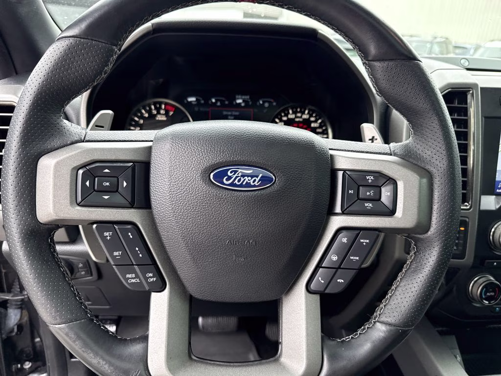 2018 Magnetic Metallic Ford F-150 Raptor 4X4 Truck