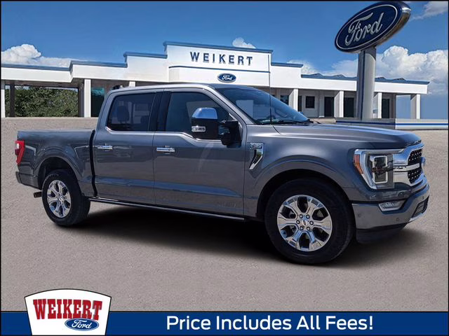 2023 Carbonized Gray Metallic Ford F-150 Platinum RWD Truck