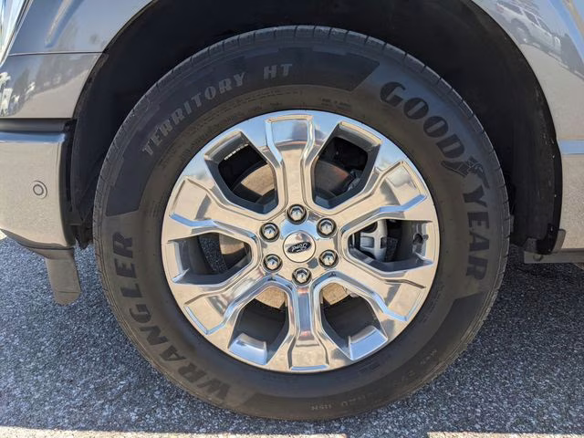 2023 Carbonized Gray Metallic Ford F-150 Platinum RWD Truck