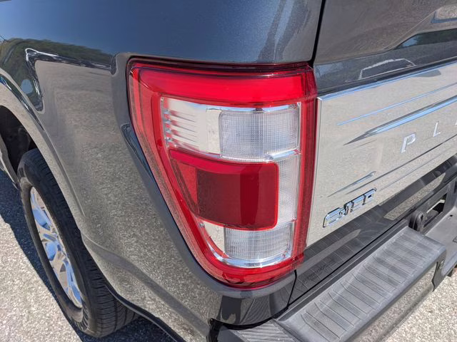2023 Carbonized Gray Metallic Ford F-150 Platinum RWD Truck