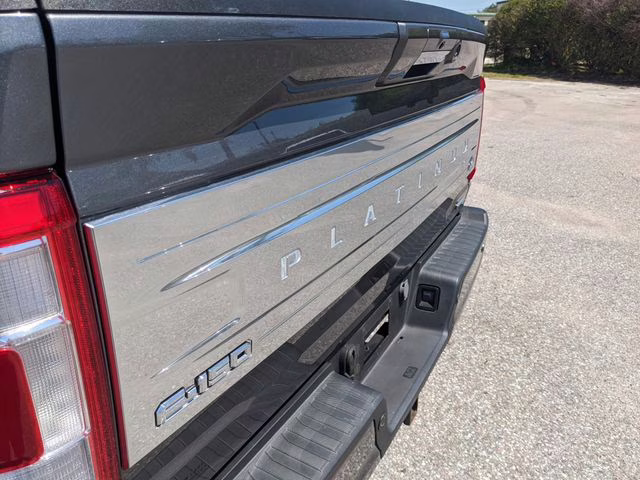 2023 Carbonized Gray Metallic Ford F-150 Platinum RWD Truck