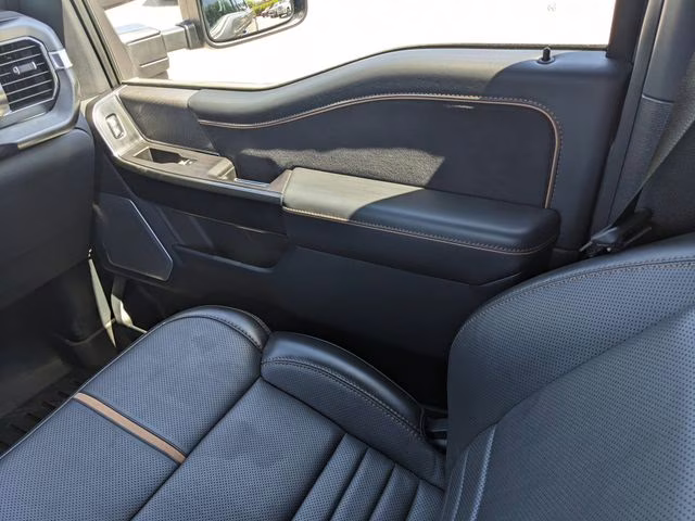2023 Carbonized Gray Metallic Ford F-150 Platinum RWD Truck