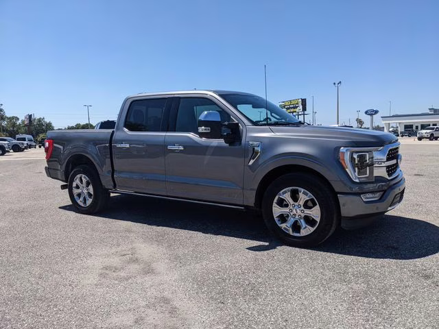 2023 Carbonized Gray Metallic Ford F-150 Platinum RWD Truck