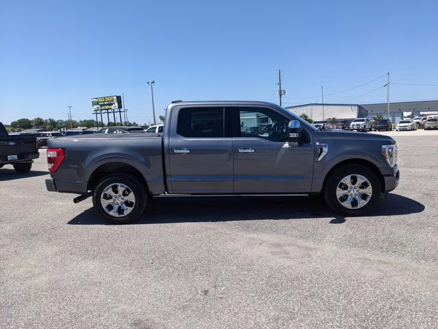 2023 Carbonized Gray Metallic Ford F-150 Platinum RWD Truck
