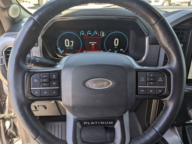 2023 Carbonized Gray Metallic Ford F-150 Platinum RWD Truck