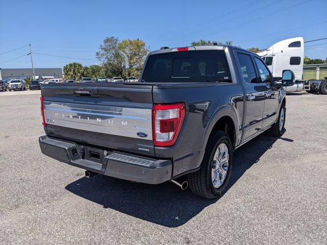 2023 Carbonized Gray Metallic Ford F-150 Platinum RWD Truck
