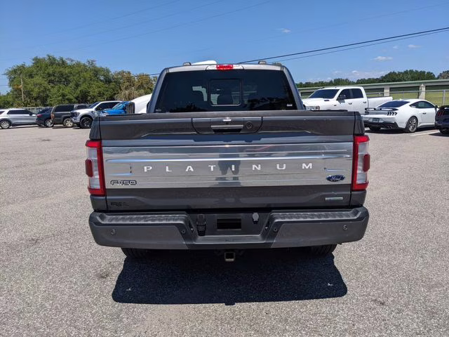2023 Carbonized Gray Metallic Ford F-150 Platinum RWD Truck