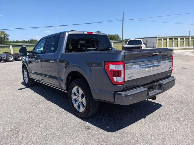 2023 Carbonized Gray Metallic Ford F-150 Platinum RWD Truck