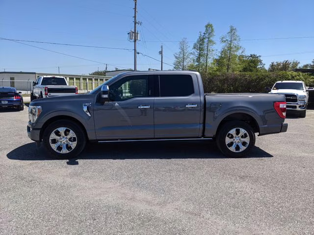 2023 Carbonized Gray Metallic Ford F-150 Platinum RWD Truck