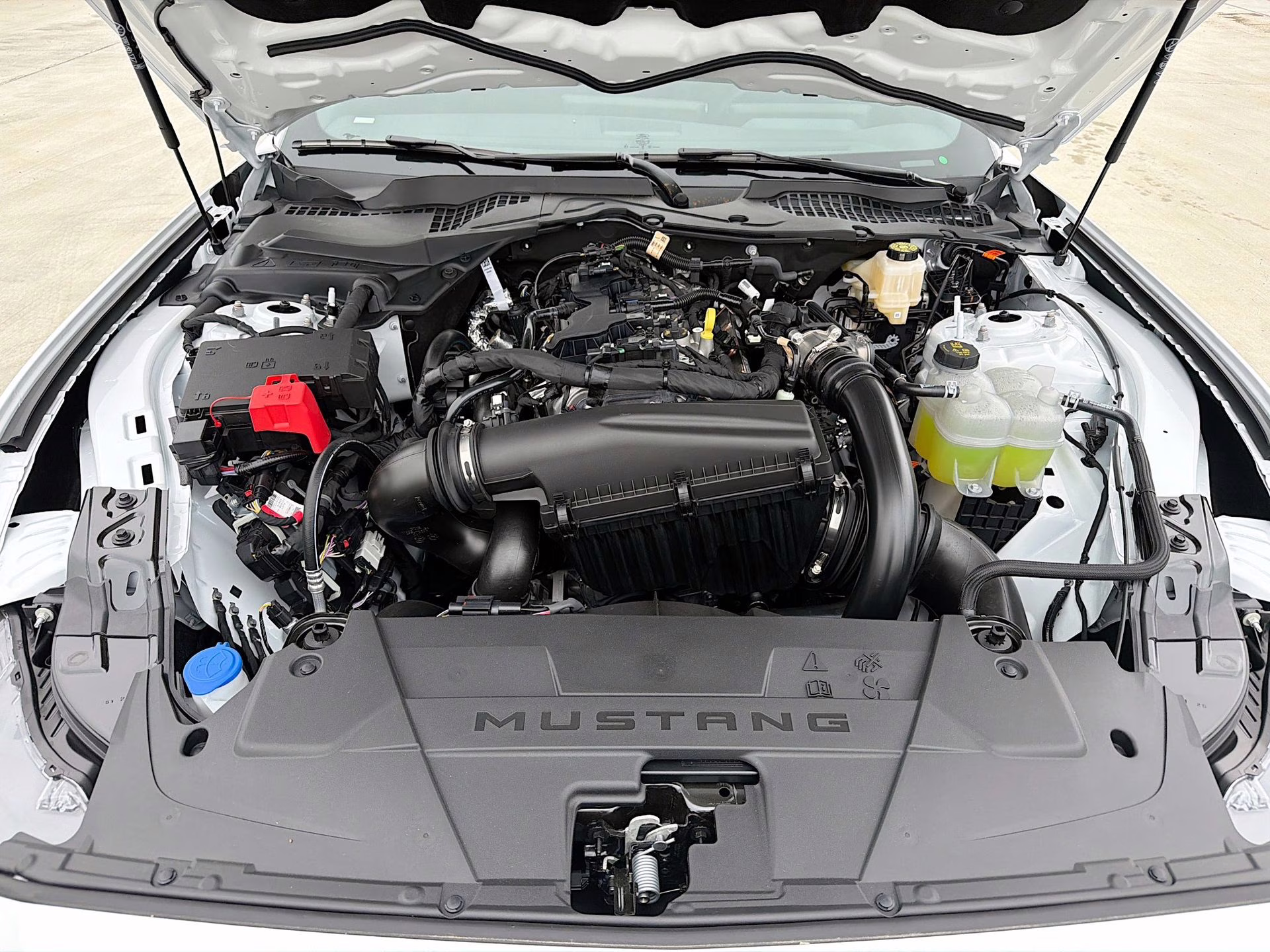 2026 Oxford White Ford Mustang EcoBoost RWD Coupe