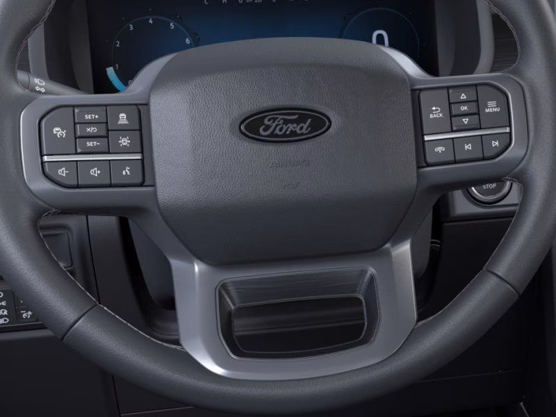 2026 Black Ford F-150 XLT 4X4 Truck