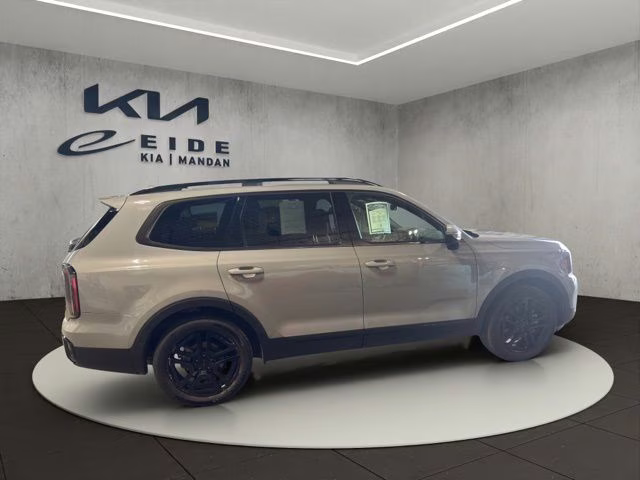 2025 Wolf Gray Kia Telluride SX-Prestige X-Line AWD SUV