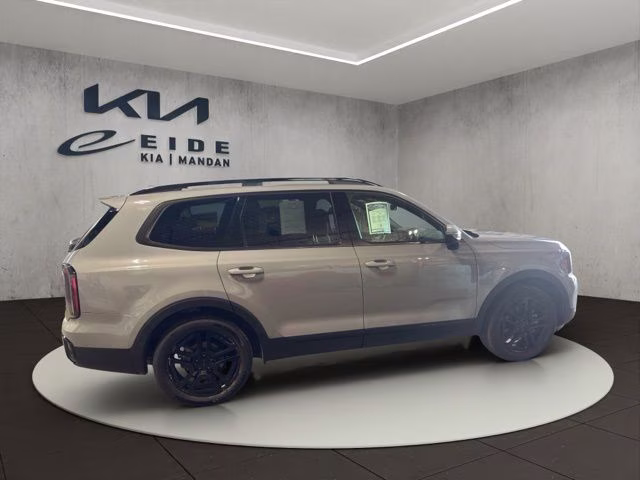 2025 Wolf Gray Kia Telluride SX-Prestige X-Line AWD SUV
