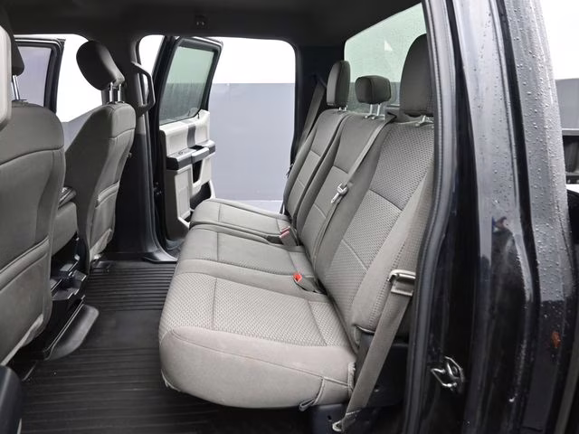 2019 Black Ford F-150 XLT 4X4 Truck