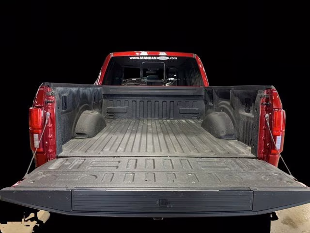2019 Ruby Red Metallic Ford F-150 Platinum 4X4 Truck