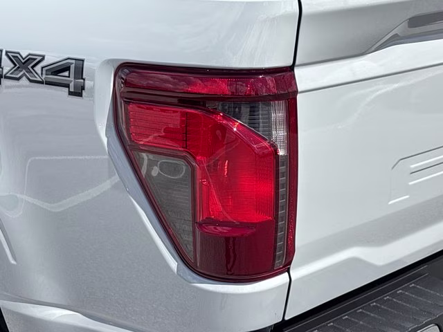 2024 Avalanche Ford F-150 XLT 4X4 Truck