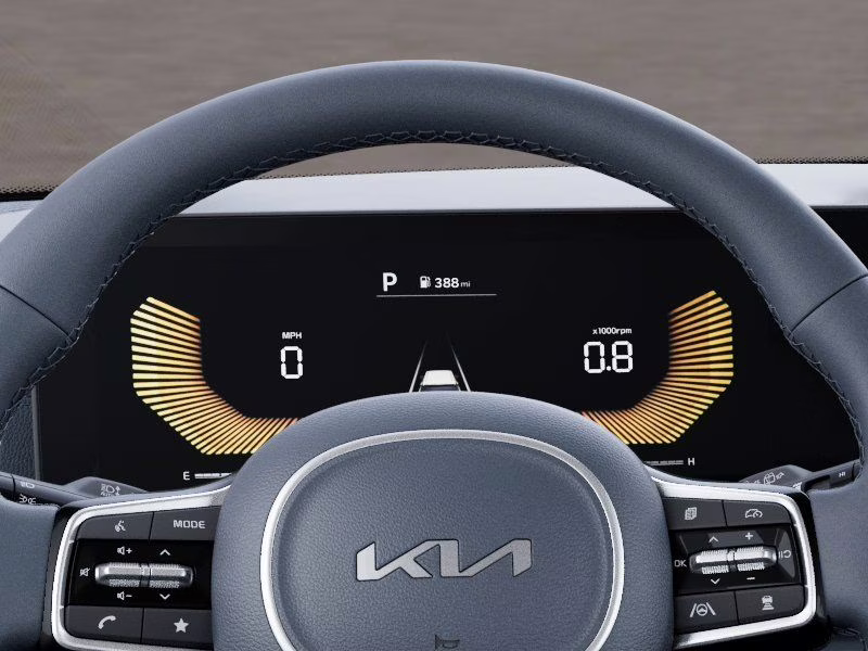 2026 Panthera Metal Kia Carnival EX FWD Van