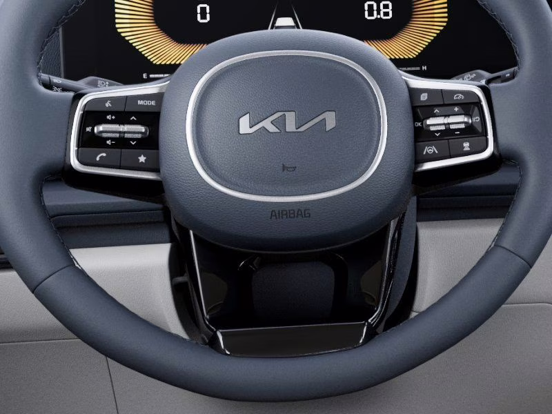 2026 Panthera Metal Kia Carnival EX FWD Van