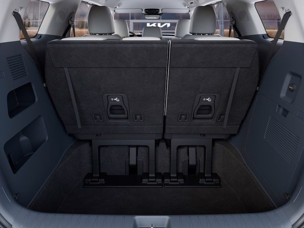 2026 Panthera Metal Kia Carnival EX FWD Van