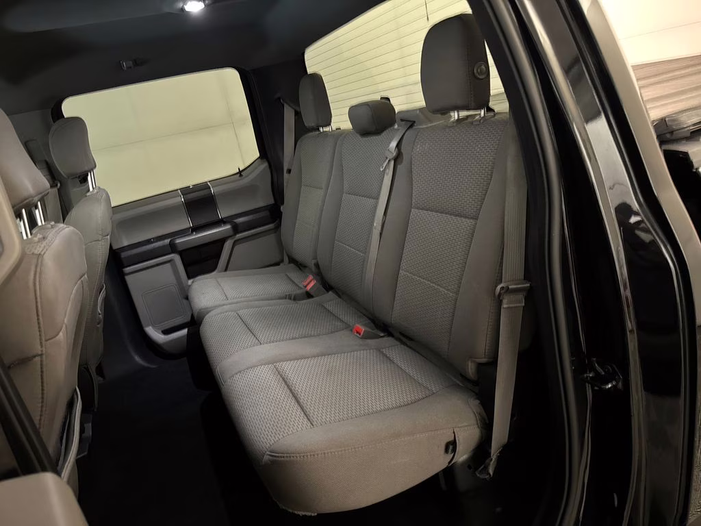 2019 Agate Black Metallic Ford F-150 XLT RWD Truck