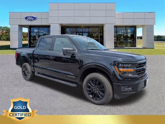 2025 Black Ford F-150 XLT 4X4 Truck