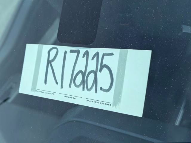 2025 Black Ford F-150 XLT 4X4 Truck