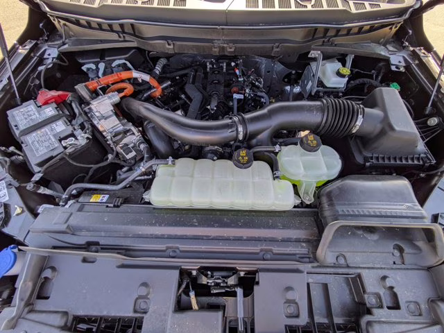 2025 Blue Metallic Ford F-150 King Ranch 4X4 Truck