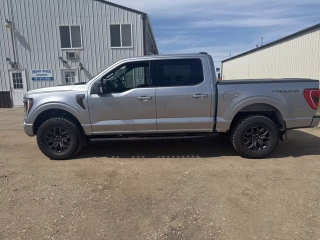 2022 Iconic Silver Metallic Ford F-150 Tremor 4X4 Truck
