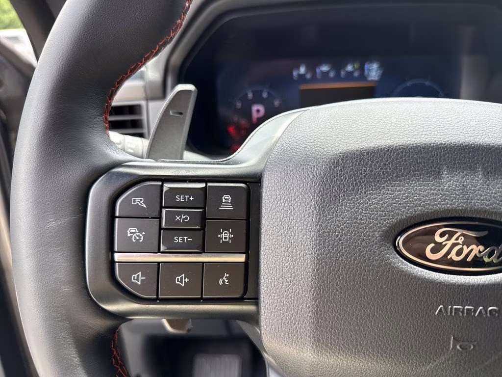 2025 Carbonized Gray Metallic Ford F-150 Raptor 4X4 Truck