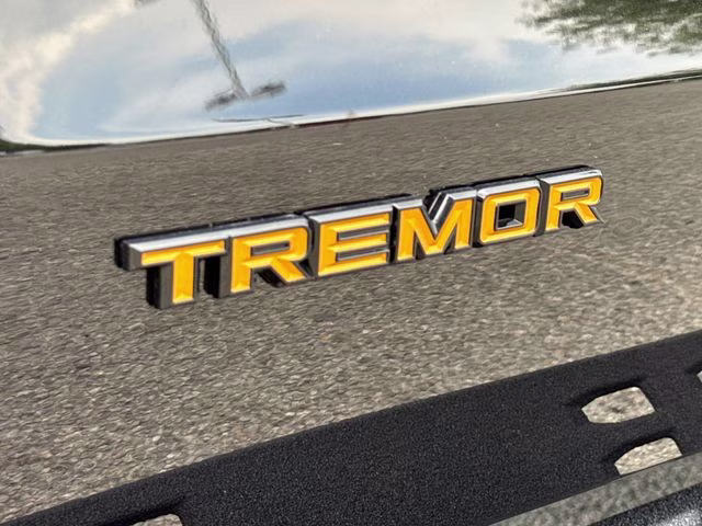 2026 Black Ford Expedition Tremor 4X4 SUV