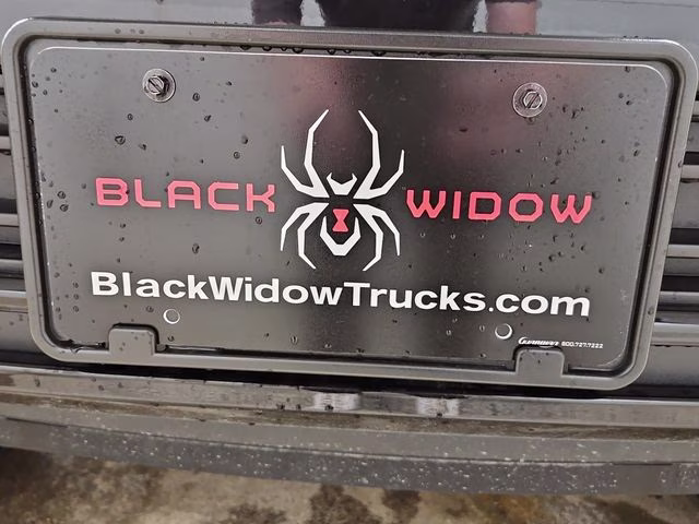 2026 Agate Black Metallic Ford F-150 XLT BLACK WIDOW 4X4 Truck