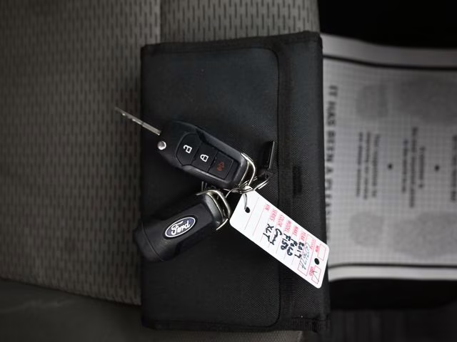 2017 Magnetic Ford F-150 XLT 4X4 Truck