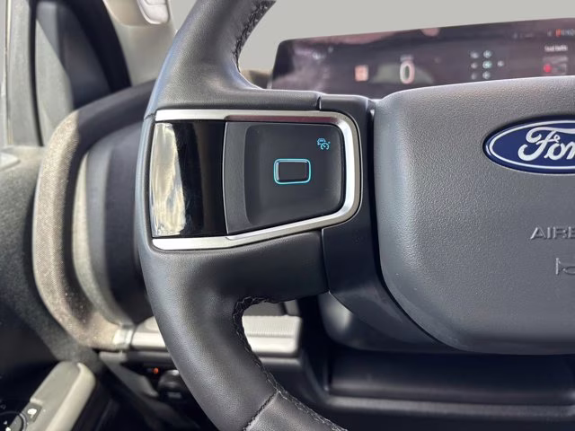 2025 Black Metallic Ford Expedition Active 4X4 SUV