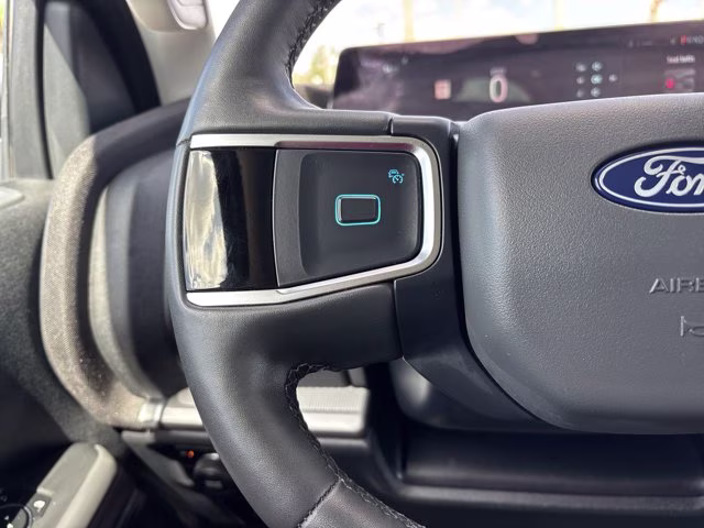 2025 Black Metallic Ford Expedition Active 4X4 SUV