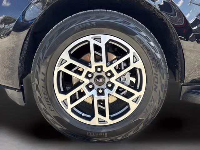 2025 Black Metallic Ford Expedition Active 4X4 SUV