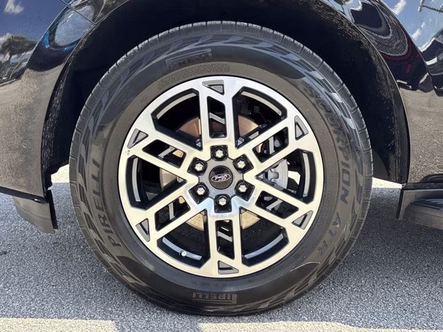 2025 Black Metallic Ford Expedition Active 4X4 SUV