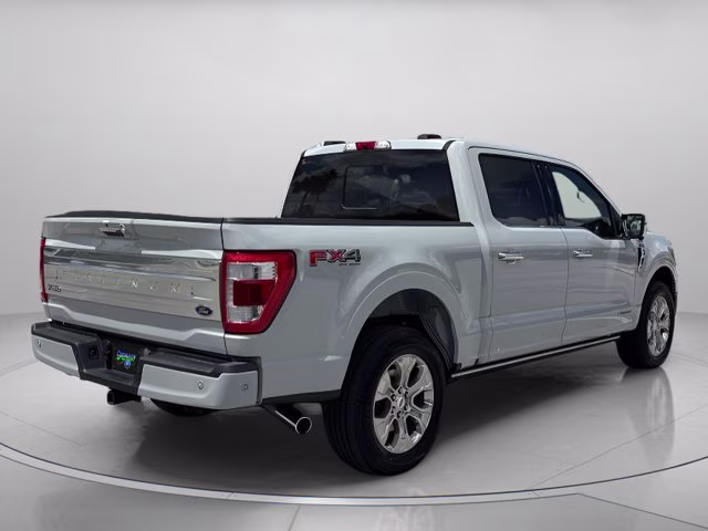 2023 Avalanche Ford F-150 Platinum 4X4 Truck