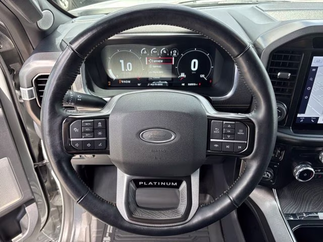 2023 Avalanche Ford F-150 Platinum 4X4 Truck
