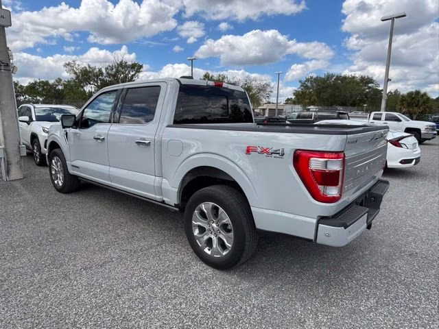 2023 Avalanche Ford F-150 Platinum 4X4 Truck