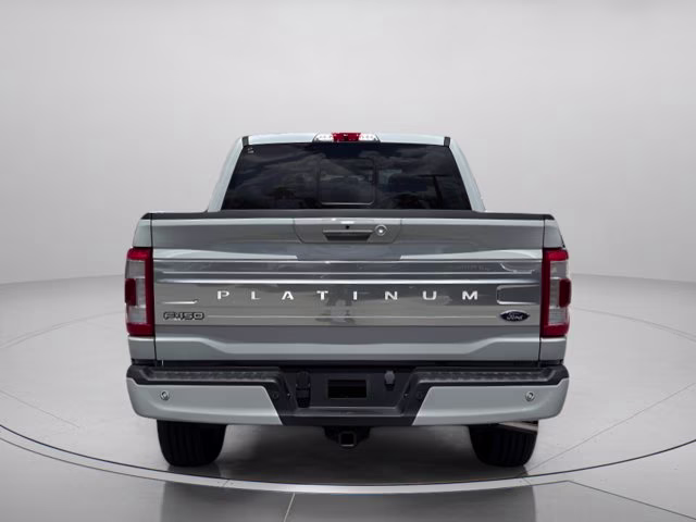 2023 Avalanche Ford F-150 Platinum 4X4 Truck