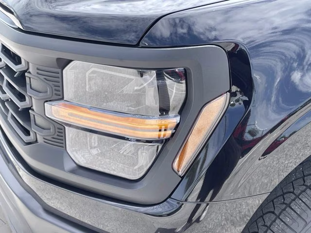 2026 Agate Black Metallic Ford F-150 XL 4X4 Truck
