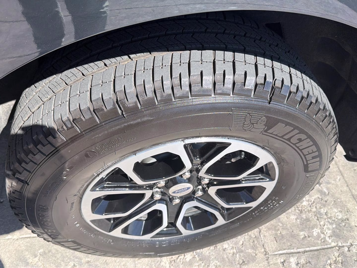2024 Stone Blue Ford Expedition Max XLT 4X4 SUV